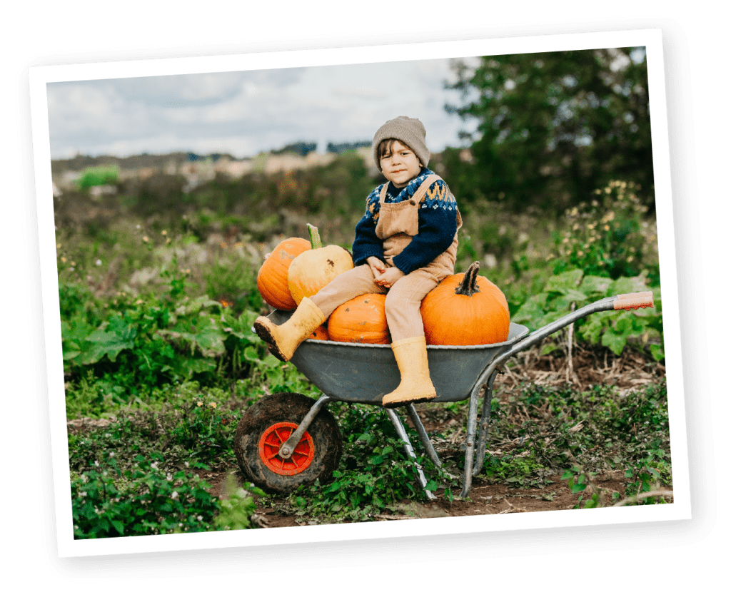 Pick your own pumpkins at over farm