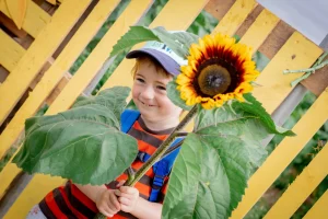 Boy holding a sunflower