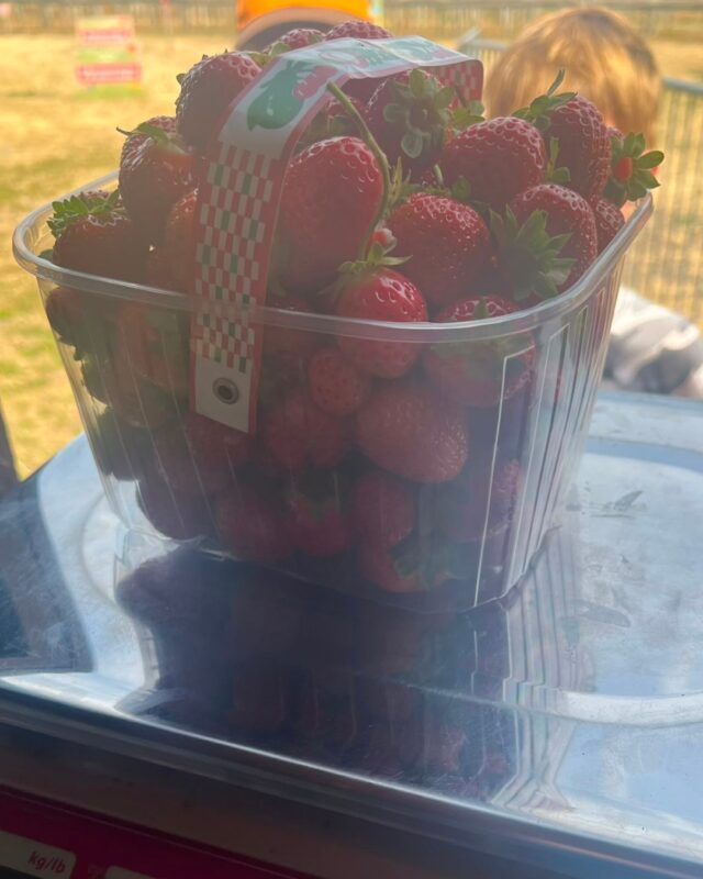 The strawberry and sunflower fields will be back open again this weekend! 

Slots are available to book on the website now 🍓