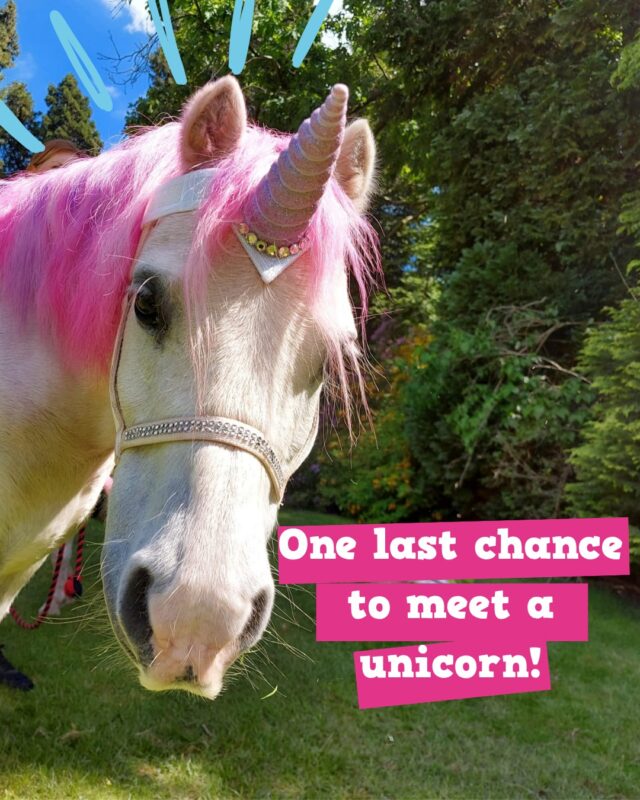🦄 They're back!

Three real-life unicorns are returning to Countryside Adventure for one final magical day this summer.

✨ Meet the unicorns
🌞 Enjoy all your favourite farm attractions
📸 Capture magical family memories
💜 Make the most of the final days of the summer holidays

Saturday 29th August is set to be a truly unforgettable day, so gather the family and join us for the magic.